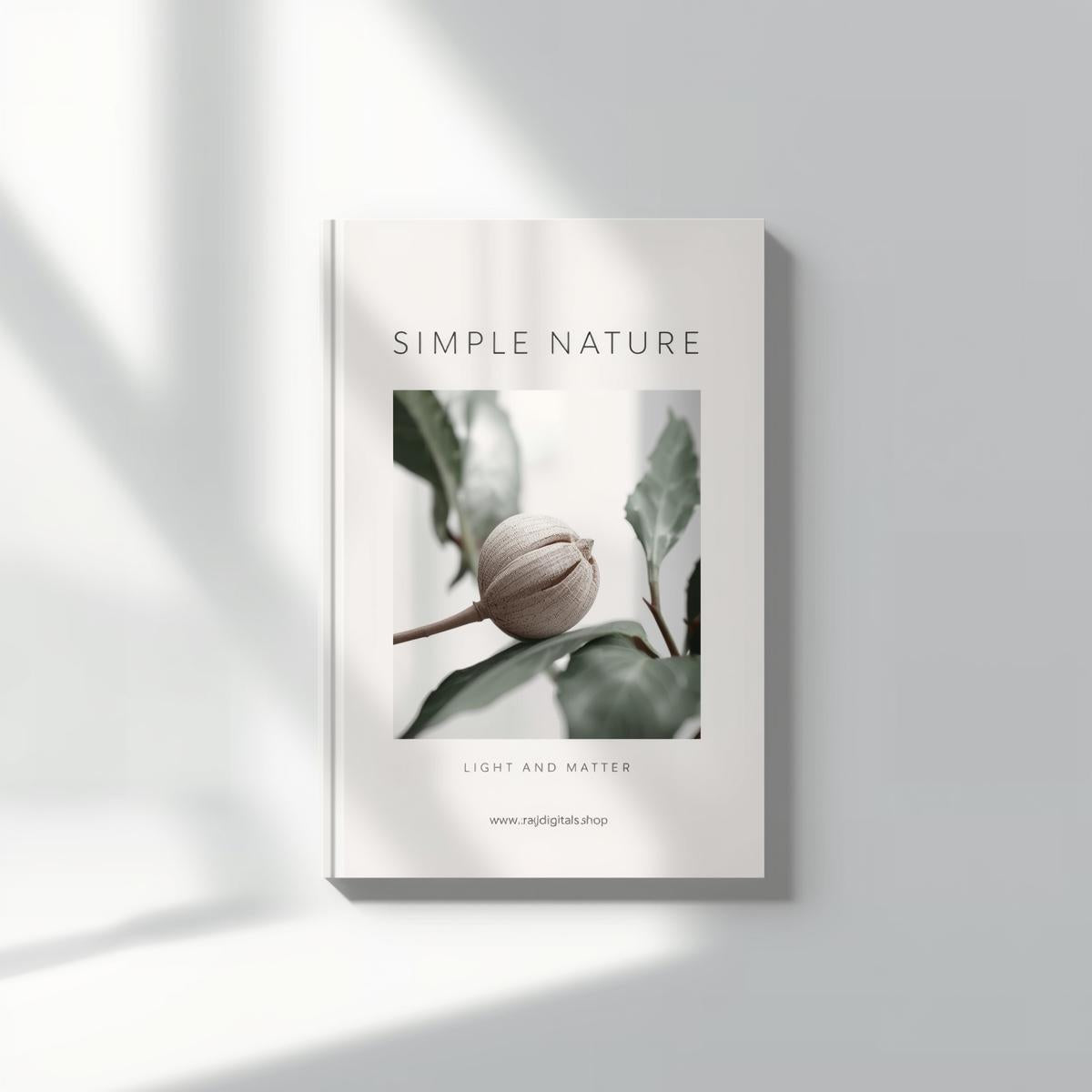 Simple Nature - Light and Matter